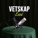 Vetskap Essä