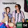 Uppsnacket