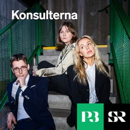 Konsulterna