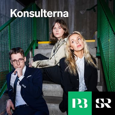Konsulterna