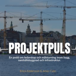 Projektpuls
